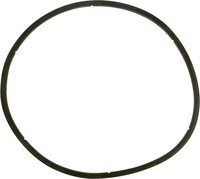 Pentair EQ Series Strainer Lid Gasket Replacement Thumb Image