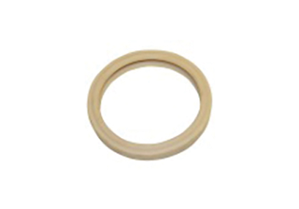 Replacement Lens Gasket (Spa-brite/Intellibrite Spa Light) Image
